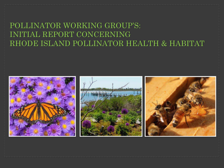 pollinator working group s initial report concerning