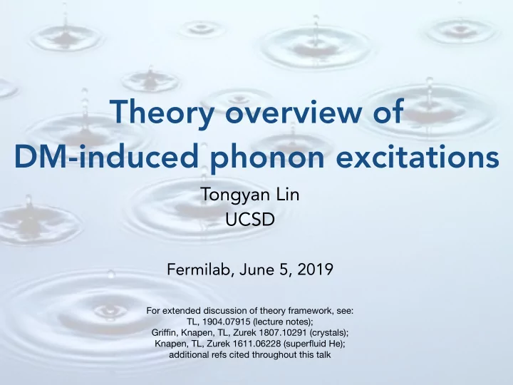 theory overview of dm induced phonon excitations
