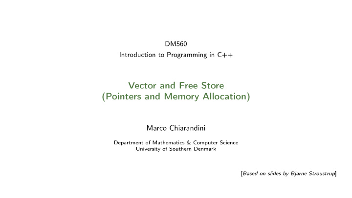 vector and free store pointers and memory allocation
