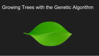 Growing Trees with the Genetic Algorithm  Our Goal    Catch as much sun as possible!