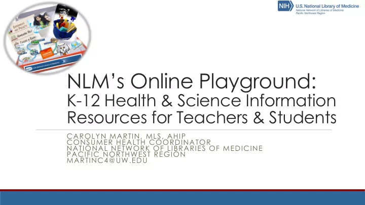 nlm s online playground