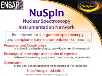 NuSpIn  Nuclear Spectroscopy  Instrumentation Network  the network for the gamma-spectroscopy  and