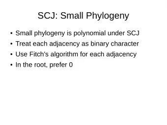 SCJ: Small Phylogeny  Small phylogeny is polynomial under SCJ  Treat each adjacency as binary