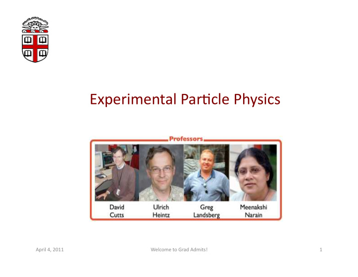 experimental par cle physics