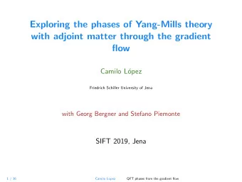 Exploring the phases of Yang-Mills theory  with adjoint matter through the gradient  flow  Camilo