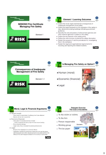 Human (moral)  Economic (financial)  Element 1.1  Legal  Delegate Exercise  Moral, Legal