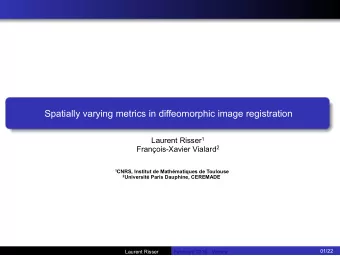 t  [0,1] Minimized energy: [Beg et al, IJCV 2005] Registration algorithm: [Beg et al, IJCV 2005]