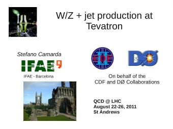 W/Z + jet production at  Tevatron  Stefano Camarda  On behalf of the  IFAE - Barcelona  CDF and D
