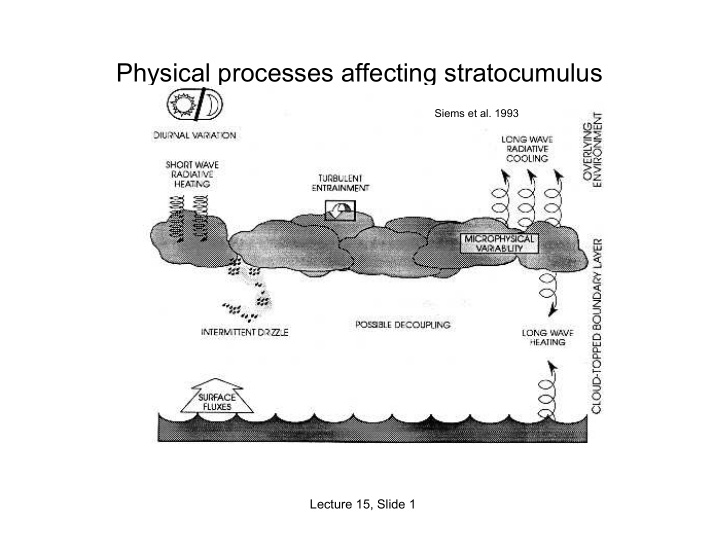 physical processes affecting stratocumulus