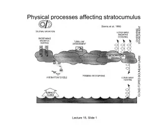 Physical processes affecting stratocumulus  Siems et al. 1993  Lecture 15, Slide 1  Sc physical