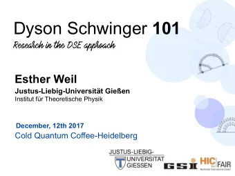 Dyson Schwinger 101  Research in the DSE approach  Esther Weil  Justus-Liebig-Universitt Gieen