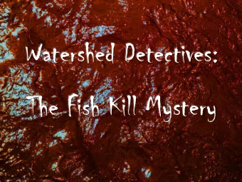 Watershed Detectives:  The Fish Kill Mystery  It is the summer of 1979  and you are staying with