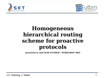 Homogeneous  hierarchical routing  scheme for proactive  protocols  presented in 2nd OLSR INTEROP /