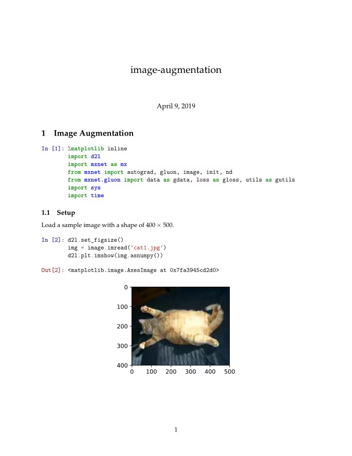 image augmentation