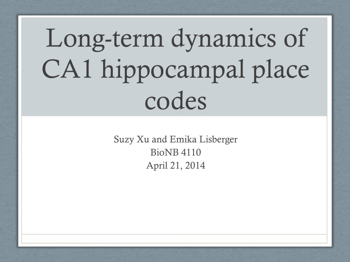 long term dynamics of ca1 hippocampal place codes
