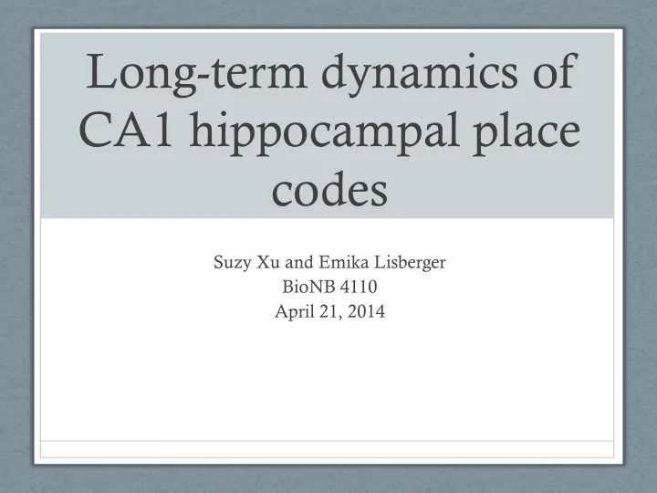 long term dynamics of ca1 hippocampal place codes