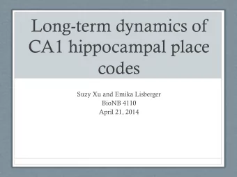 Long-term dynamics of  CA1 hippocampal place  codes  Suzy Xu and Emika Lisberger  BioNB 4110  April