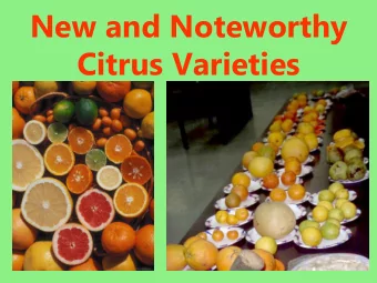 New and Noteworthy  Citrus Varieties Citrus species &amp; Citrus Relatives  Hundreds of  varieties