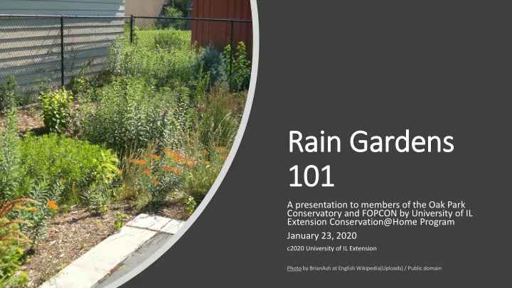 rain gardens