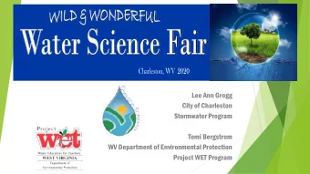 Lee Ann Grogg  City of Charleston  Stormwater Program  Tomi Bergstrom  WV Department of
