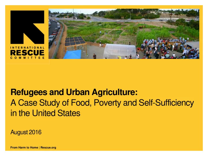 refugees and urban agriculture