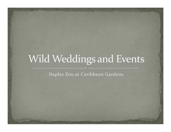 naples zoo at caribbean gardens our events
