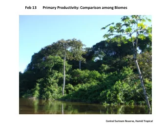 Feb 13  Primary Productivity: Comparison among Biomes  Central Surinam Reserve, Humid Tropical