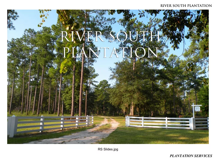 plantation services