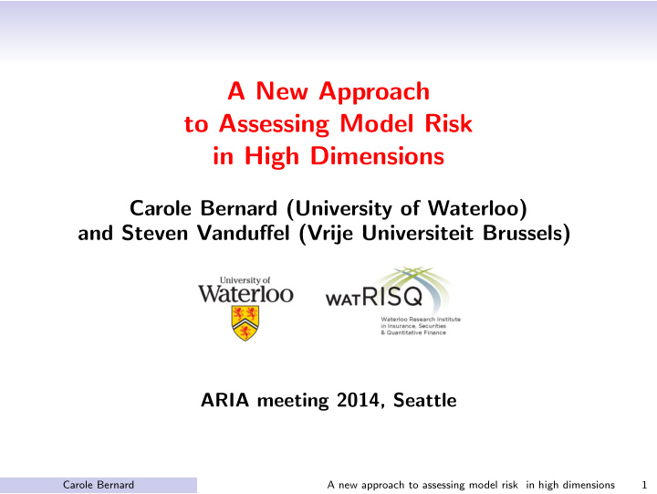 a new approach to assessing model risk in high dimensions