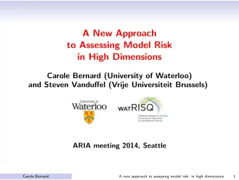 A New Approach  to Assessing Model Risk  in High Dimensions  Carole Bernard (University of