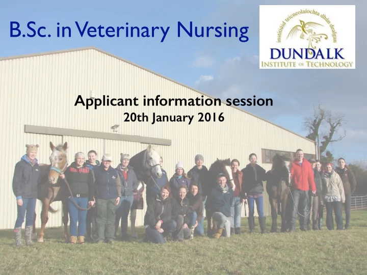b sc in veterinary nursing
