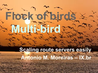Flock of birds  Multi-bird  Scaling route servers easily  Antonio M. Moreiras  IX.br  CGI.br is