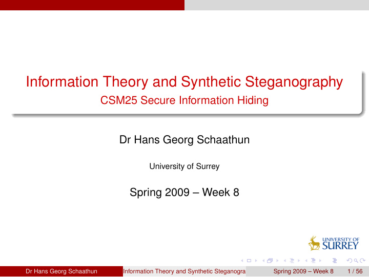 information theory and synthetic steganography