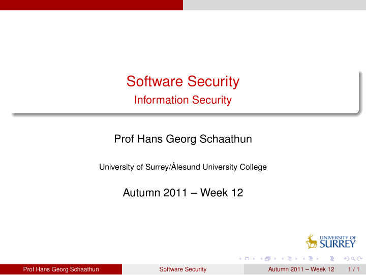 software security