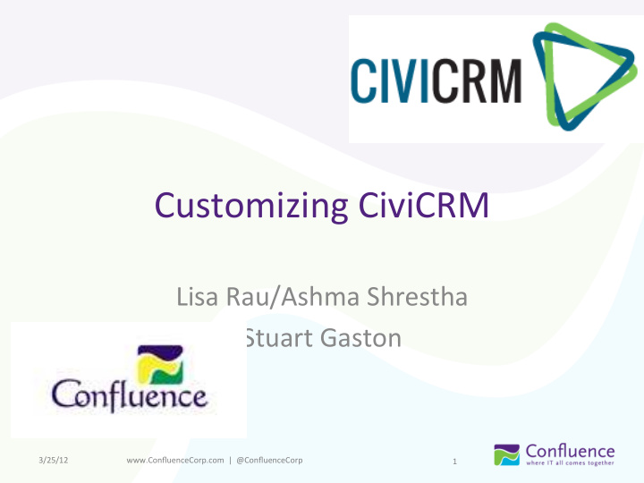 customizing civicrm