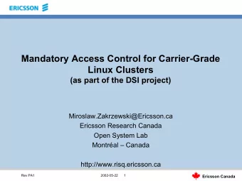 Mandatory Access Control for Carrier-Grade  Linux Clusters  (as part of the DSI project)