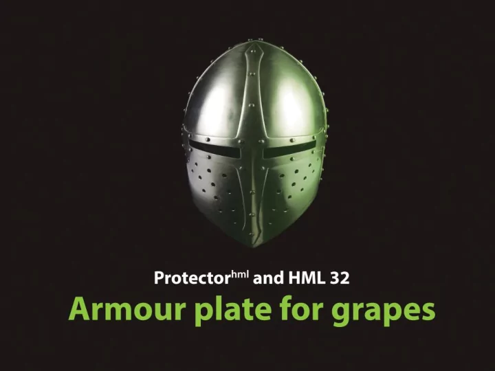 the protector hml and hml32 journey