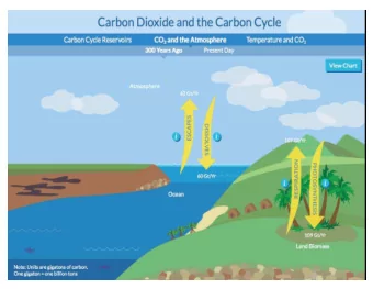 Photosynthesis  Respiration  Photosynthesis: Plants take CO 2 gas  from the air to make  sugar.
