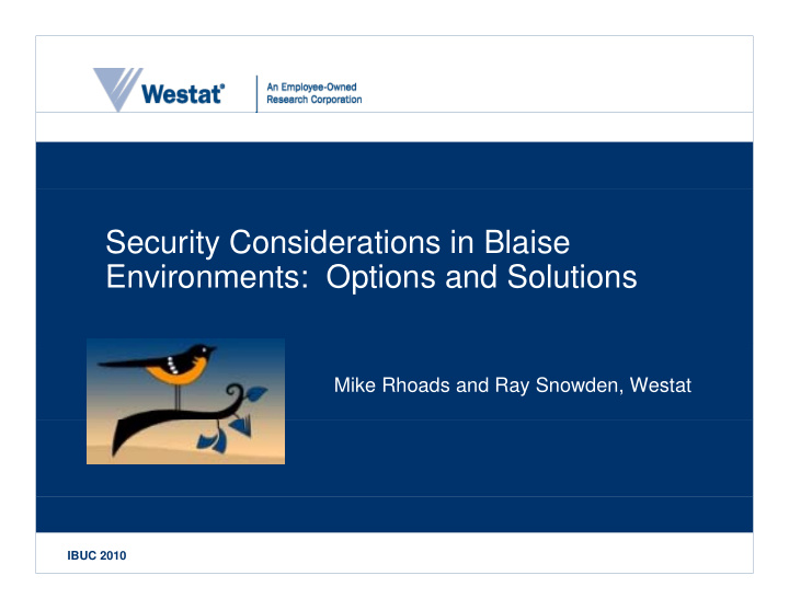 security considerations in blaise e environments options