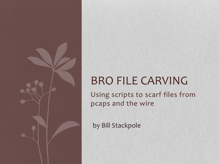 bro file carving