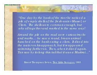 One  day by the  bank o f the  rive r he  no tic e d a  pile  o f e mpty she lls o f the  fre