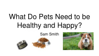 what do pets need to be healthy and happy