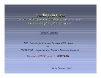 Starlings in flight  Starlings in flight  understanding patterns of animal group movements