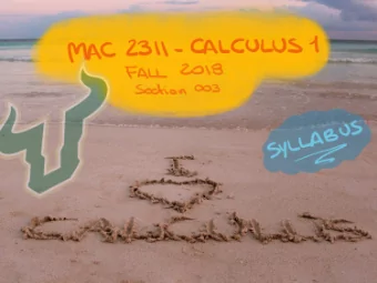 INSTRUCTOR INFORMATION Name: Dr. Annamaria Iezzi Office: CMC 110 Contact Information: