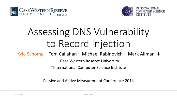 assessing dns vulnerability