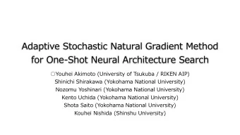 Adaptive Stochastic Natural Gradient Method  for One-Shot Neural Architecture Search  Youhei