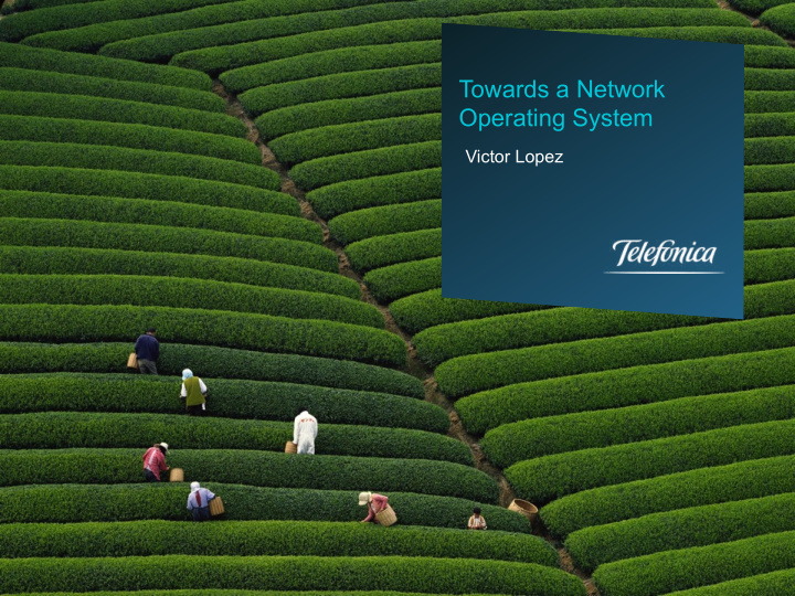 towards a network operating system