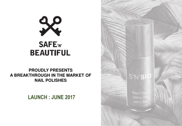 launch june 2017 the vision