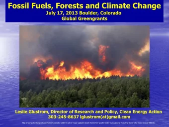 Fossil Fuels, Forests and Climate Change  July 17, 2013 Boulder, Colorado  Global Greengrants
