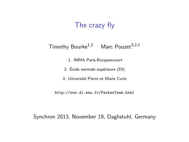 the crazy fly